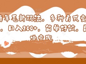薅羊毛新玩法,多种方式变现,日入200+,简单好做,副业变现