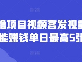 零撸项目视频客发视频就能赚钱单日最高5张