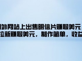 在国外网站上出售明信片赚取美元,也可拉新赚取美元,制作简单,收益高