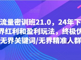 线上流量密训班21.0,24年下半年-无界红利和盈利玩法,终极优化/无界关键词/无界精准人群