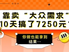 靠卖“大众需求”,10天搞了7250元?你做也能拿到结果…