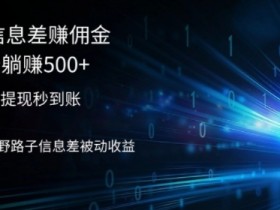 2024通过信息差赚佣金,小白轻松躺赚5张,一手渠道,提现秒到账,野路子信息差被动收益