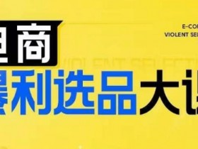 电商暴利选品大课,3大选品思维模式,助力电商企业实现利润突破