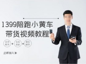 1399陪跑tiktok小黄车带货视频教程,tiktok跨境电商教程