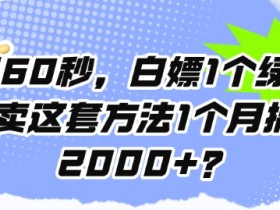 每天60秒,白嫖1个绿钻?卖这套方法1个月搞2000+?