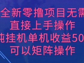 2024全新零撸项目,无需养机,直接上手操作 纯挂JI,单机收益50+,可以矩阵操作