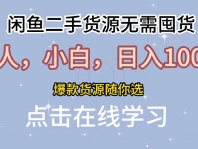 闲鱼二手货源无需国货,新人,小白,日入1k,爆款货源随你选