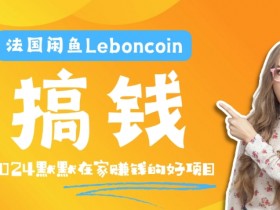 法国闲鱼Leboncoin跨境电商教程:环境邮箱电话解决产品上传及流量,悄悄赚钱