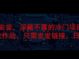 steam代安装,深藏不漏的冷门项目,教你做出爆款作品,只需发发链接,日入300+