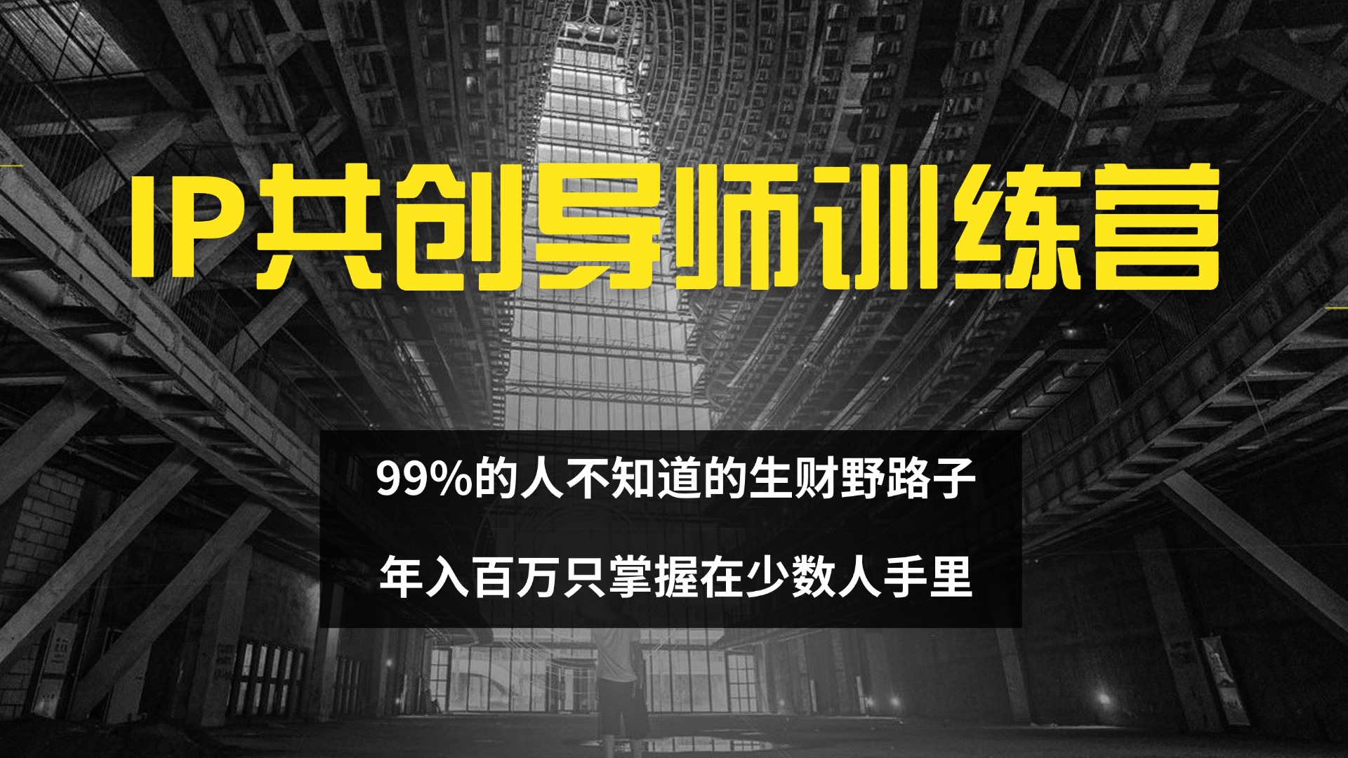 (12504期)IP共创导师训练营 99%的人不知道的生财野路子 只掌握在少数人手里