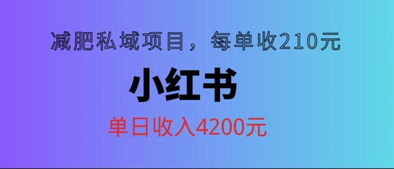 小红书减肥私域项目,每单210元,单日可卖出15单,利润3150