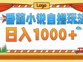 番茄小说自撸玩法,不看播放量,不看视频质量,每天几张
