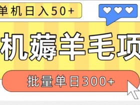 苹果手机零撸薅羊毛项目 单机日收益50+【视频教程】