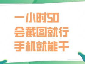 一小时50,只要会截图就行,手机就能干