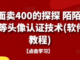 外面卖400的探探 陌陌 积木等头像认证技术(软件+教程)