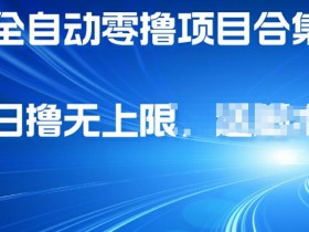 全自动零撸项目合集,轻松日撸2张