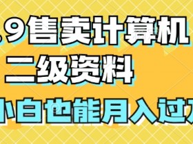 19.9售卖计算机二级资料,发发图片,小白也能月入过万!