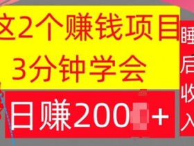 这2个项目,3分钟学会,日赚几张,懒人捡钱