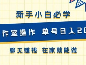 新手小白必学 可工作室操作 单号日入2张 聊天赚钱 在家就能做