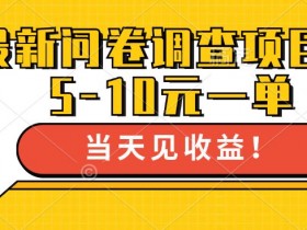 最新问卷调查项目,5-10元一单,多做多得, 单日轻松1张