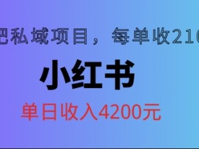 小红书减肥私域项目,每单210元,单日可卖出15单,利润3150