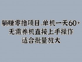 躺赚零撸项目,单机一天60+,无需养机直接上手操作,适合批量放大