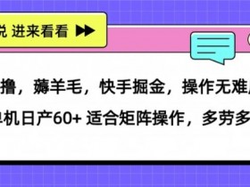 0撸,薅羊毛,快手掘金,操作无难度 单机日产30+ 适合矩阵操作,多劳多得