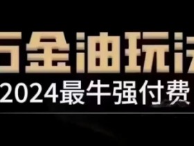 2024最牛强付费,万金油强付费玩法,干货满满,全程实操起飞