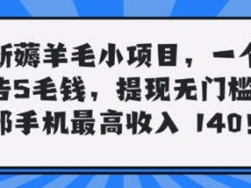 最新薅羊毛项目,零门槛提现!一部手机单日最高收入140,可矩阵可放大