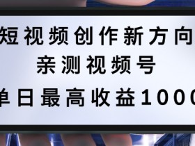 短视频创作新方向,历史人物自述,可多平台分发 ,亲测视频号单日最高收益1k【揭秘】