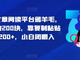 2024文章阅读平台薅羊毛,1万播放200块,靠复制粘贴日入200+,小白闭眼入