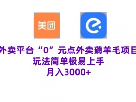 “0”元点外卖项目,玩法简单,操作易懂,零门槛高收益实现月收3000+