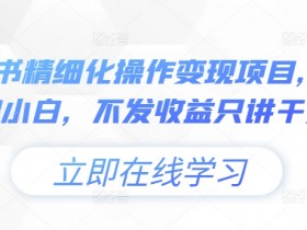 小绿书精细化操作变现项目,0基础小白,不发收益只讲干货