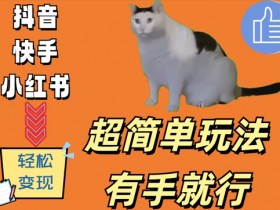 超简单玩法,有手就行,靠猫咪视频日入500+【揭秘】