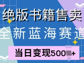 全新蓝海赛道,绝版书籍售卖,一单99,一天平均40单