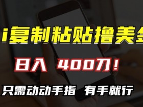 AI复制粘贴撸美金,日入400,只需动动手指,小白无脑操作【揭秘】