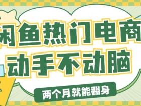 电商平台卖显示器月入过W,最新干货分享,小白轻松上手