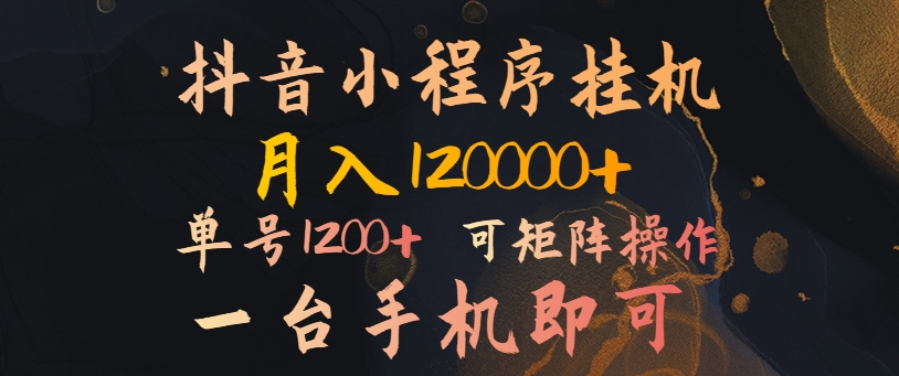 抖音小程序挂机风口项目,月入1.2w,一台手机即可操作,可矩阵操作