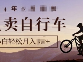 骑行圈的秘密之我在闲鱼卖自行车,项目门槛低,0成本就可以操作