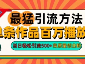 2024年最猛引流方法单条作品百万播放量,当日轻松引流500+,高质量创业粉