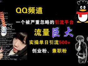 QQ频道,一个被严重忽略的引流平台,流量巨大 实操单日引流500+创业粉兼职粉【揭秘】