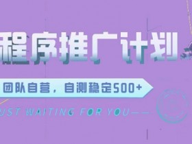 微信小程序项目,全新变现方式日均收益3张