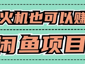 适合小白创业拿结果的项目,0成本开始闲鱼创业