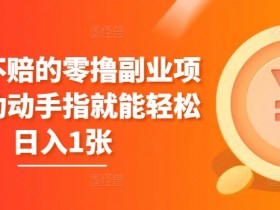 稳赚不赔的零撸副业项目,动动手指就能轻松日入1张