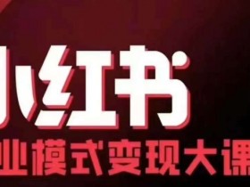 小红书商业模式变现线下大课,11位博主操盘手联合同台分享,录音+字幕