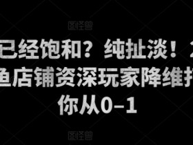 闲鱼已经饱和?纯扯淡!2000家闲鱼店铺资深玩家降维打击带你从0–1