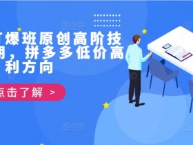 拼多多打爆班原创高阶技术第39期,拼多多低价高利方向