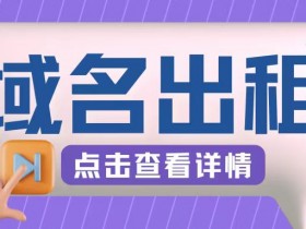 冷门项目,域名出租玩法,简单粗暴适合小白【揭秘】