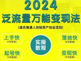 创业变现教学,2024泛流量万能变现法,适合普通人的轻质产创业项目