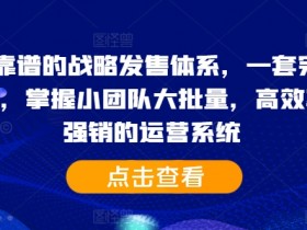 2024靠谱的战略发售体系,一套完整的助IP们,掌握小团队大批量,高效率,0 强销的运营系统
